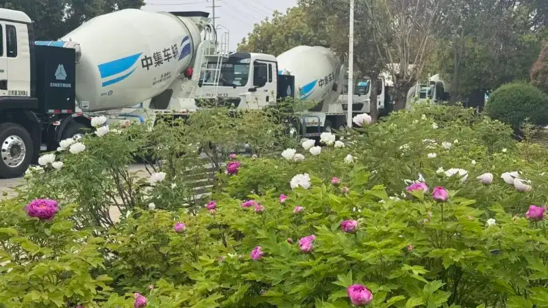 Luoyang peonies are in full bloom! CIMC Vehicles' DTB and Concrete Mixer Truck Business Group welcomes guests with the fragrance of flowers